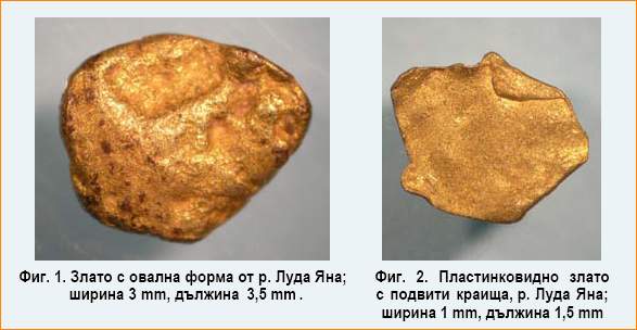 Фигура 1 и 2 Фигура и – Особености на златото от речните отложения в Панагюрско